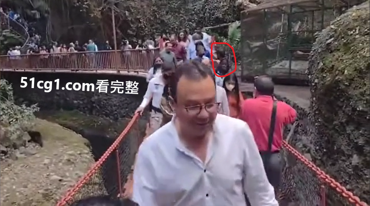 墨西哥一座重新开放的吊桥倒塌02.png