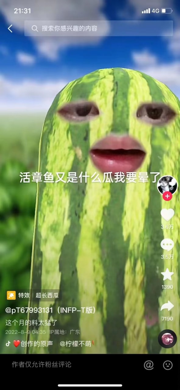 【重口视频 慎入！！】活章鱼 瓜在这儿！ 古有黄鳝钻B,今有章鱼钻屁眼