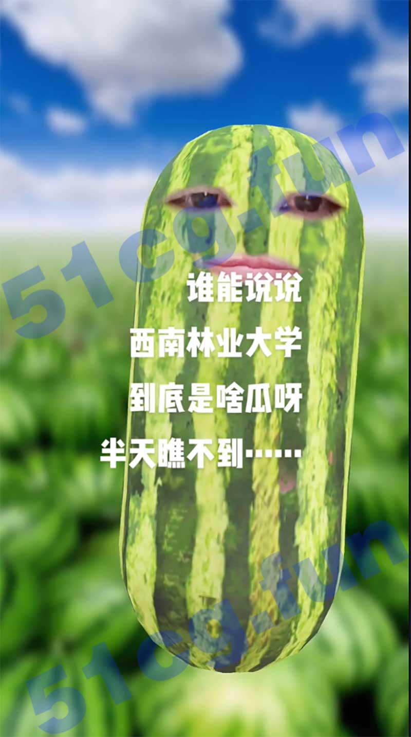火爆热瓜！西南林业大学的瓜，小树林情侣，八块腹肌？