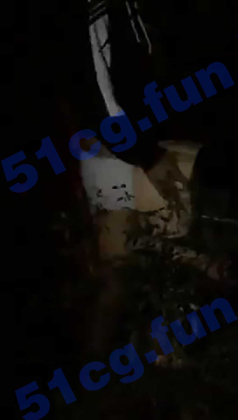 005.jpg