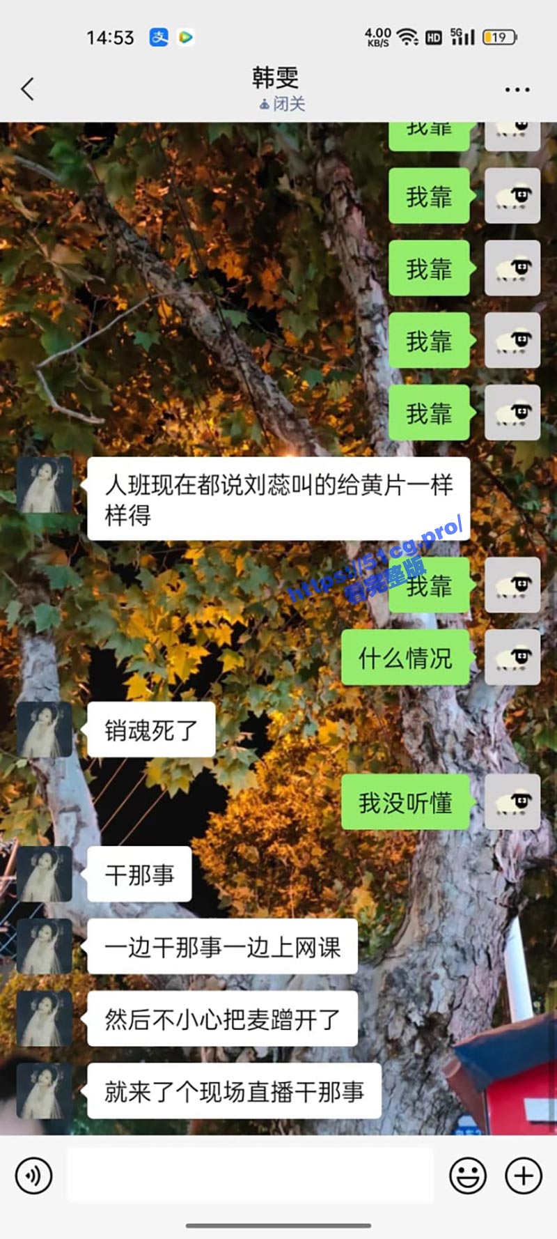 0011.jpg