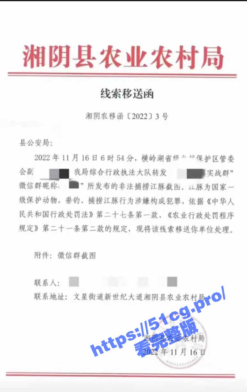 牢底坐穿鱼！湖南岳阳两男子钓到江豚 喜提银手镯一对 外加包吃包住十年
