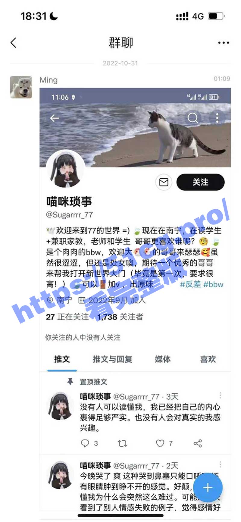 最新热瓜！广西财经学院赢麻了！推特露出博主猫咪琐事被老师认出！全校查寝抓人！