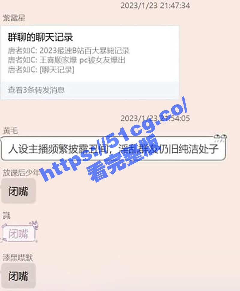 B站百大主播 CSGO王喜顺 家暴嫖娼被女友曝光 （附录音聊天记录）