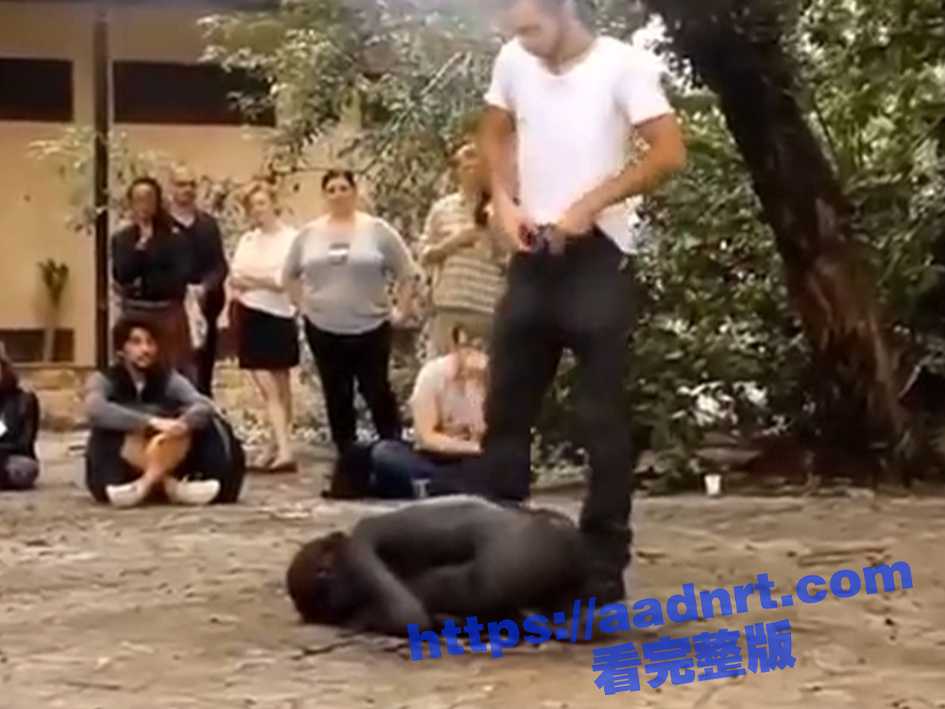 超级震撼的行为艺术！艺术家在危地马拉表演行为艺术 众人轮番对着一个小黑人身上撒尿！