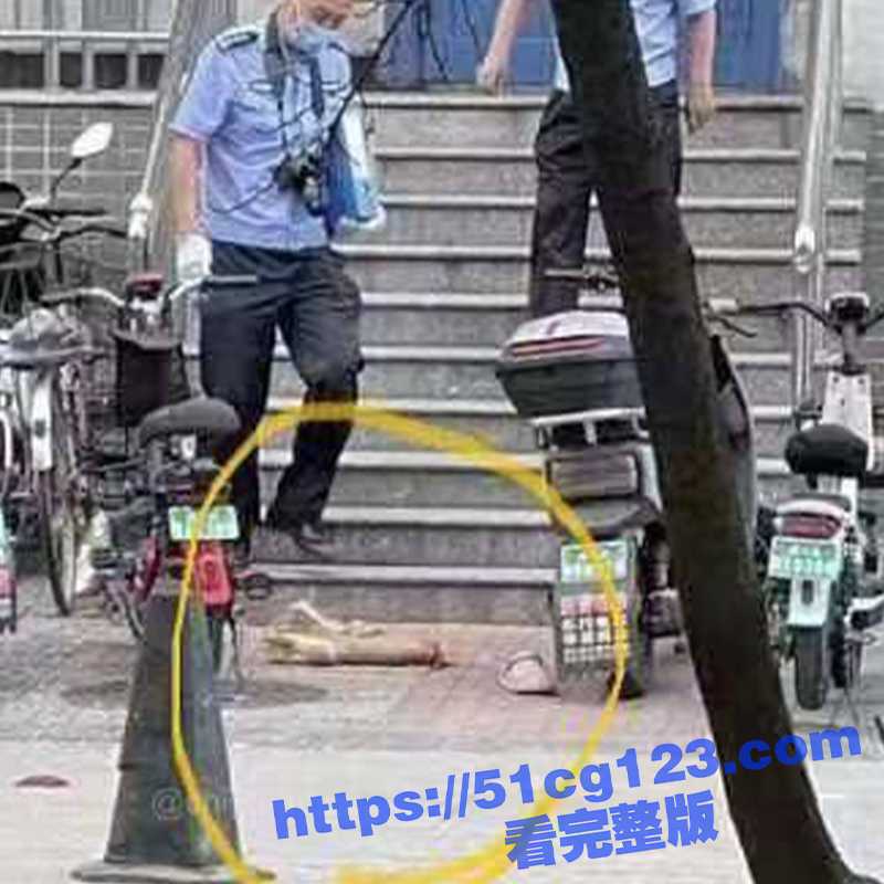 3标题-1.jpg