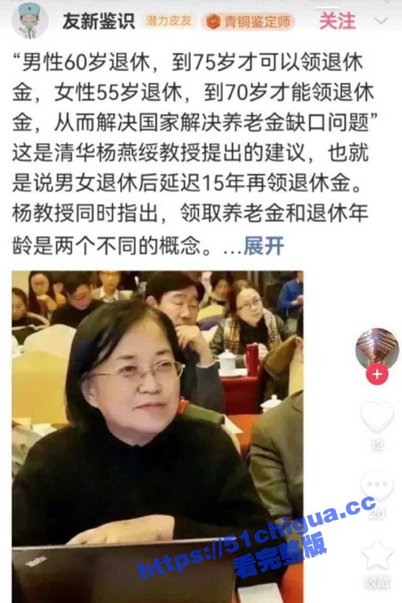 清华大学 杨燕绥 教授建议养老金领取延迟15年，减轻国家的养老资金压力这15年外出打工赚取生活费！