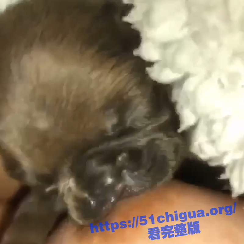 4标题-1.jpg