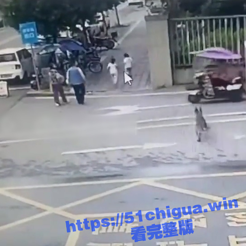 一波未息一波又起 ！四川乐山夹山某小区门口又发生不栓狗链的狗撕咬