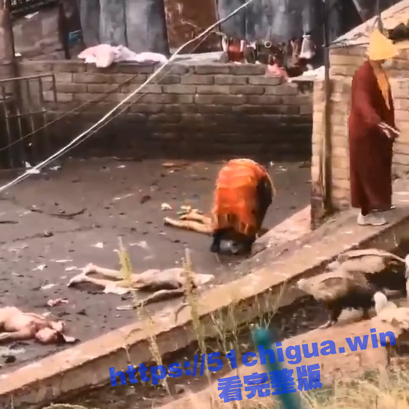 2标题-1.jpg