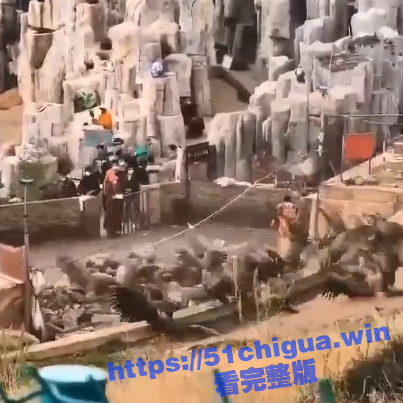 5标题-1.jpg