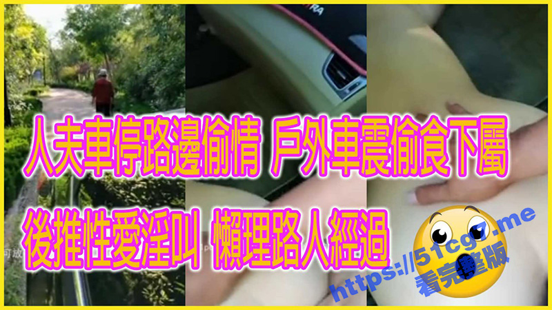 人夫车停路边偷情 户外车震偷吃女下属 后推性爱淫叫 无视路人经过我行我素照样抽插