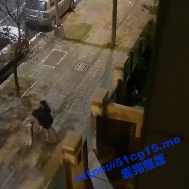 台湾台南安南区 一名女子残忍虐狗 把狗拎起来用力连摔在地上！