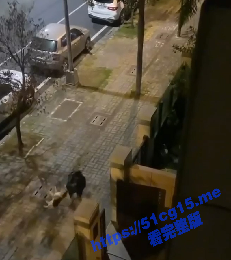 2标题-1.jpg
