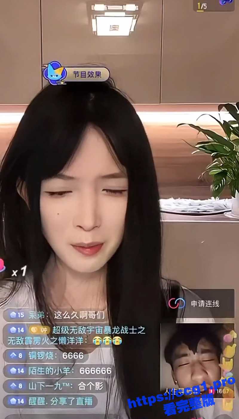 113.jpg