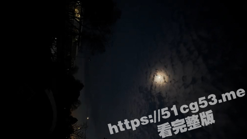 2024日全食科技新发现 钻石环日珥与日冕奇观 揭开太阳神秘面纱！