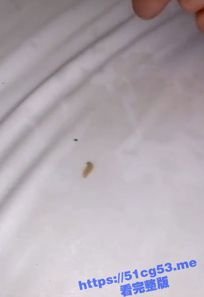 重口预警！把虫子塞入尿道里面 然后抠逼到高潮 用淫水将其顶出来！