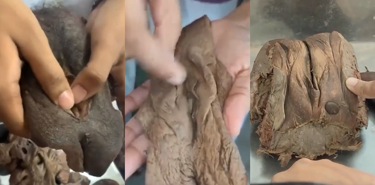 download.jpg