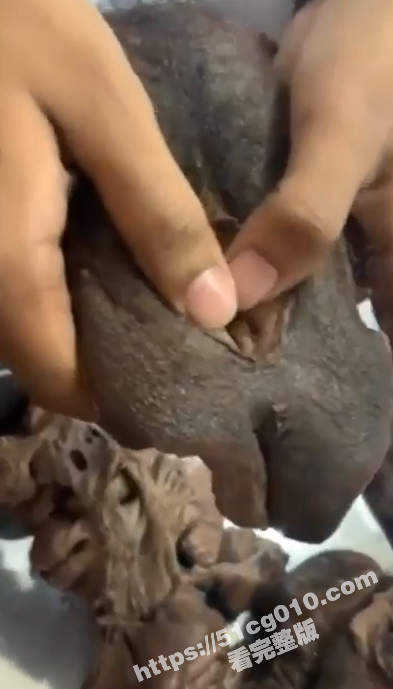 猎奇重口 慎入！罕见流出各种类型女性的性器官 满足你的好奇心