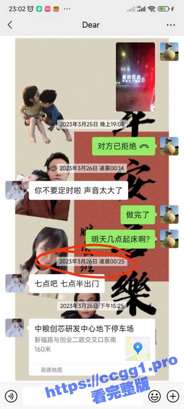 13.jpg