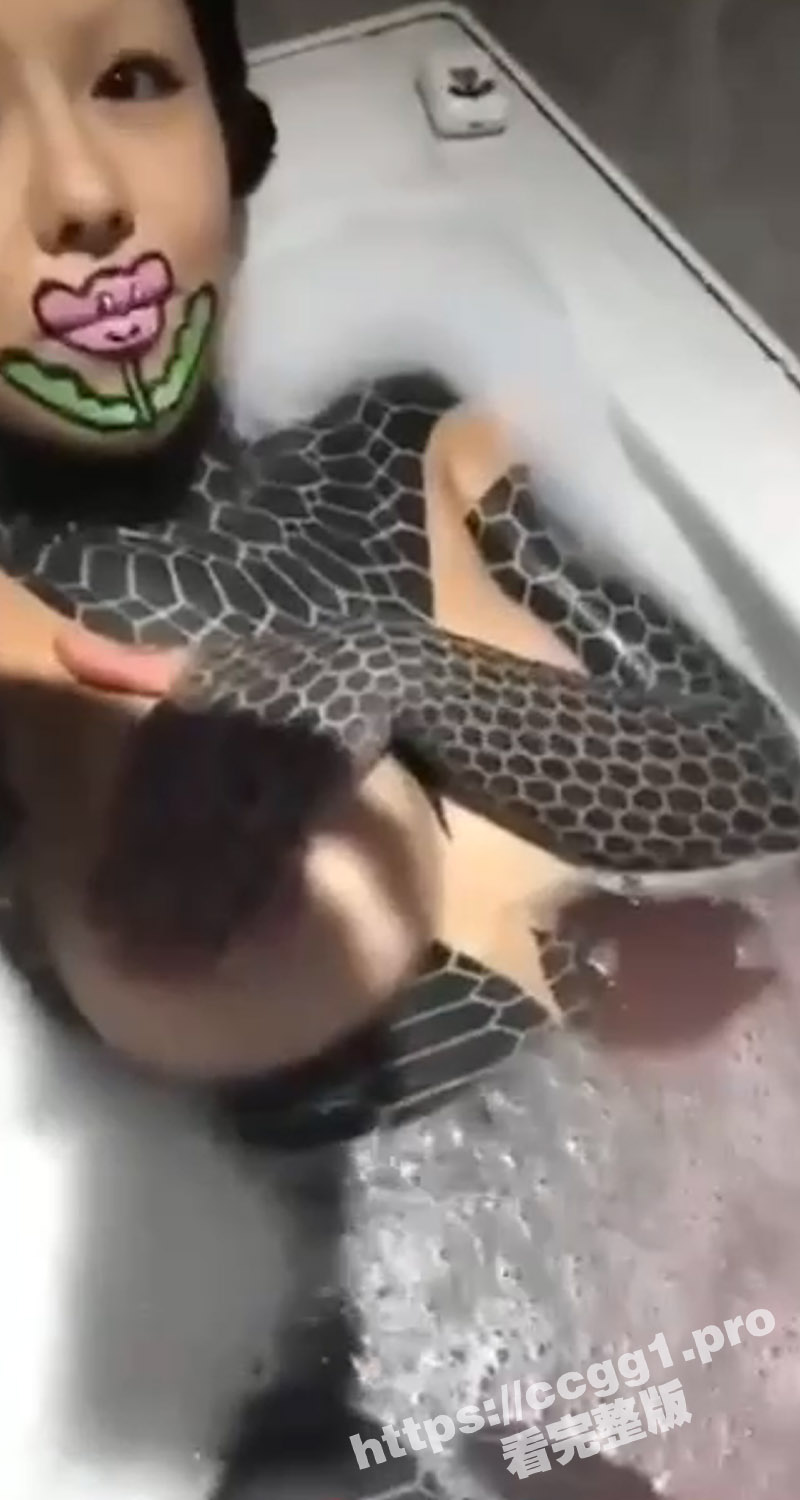 2标题-1 拷贝.jpg