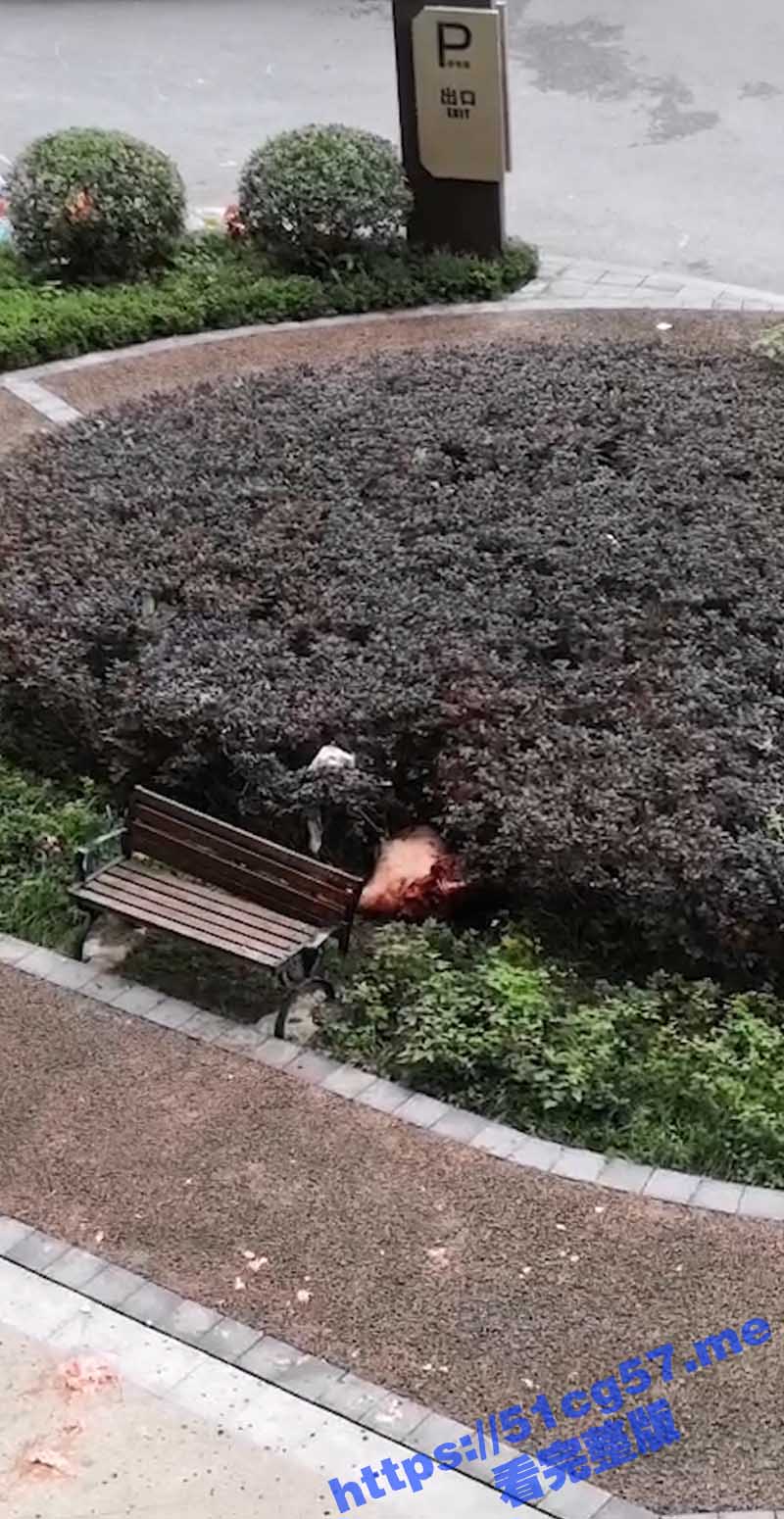 5标题-1 拷贝.jpg