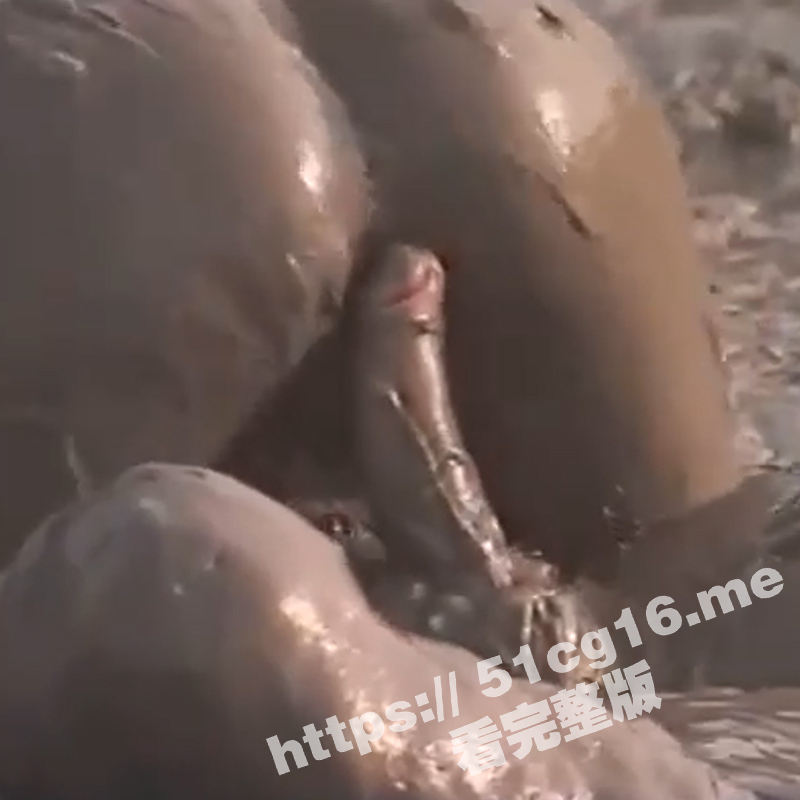 真是活久见！泥浆里翻云覆雨 激情做爱 鸡巴裹上泥浆化身黑泥鳅钻进同样灌满泥浆的骚逼！
