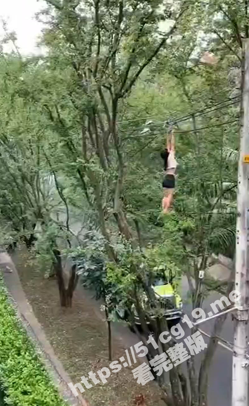 这是咋挂上去的？妹子双手挂在十几米高的电线上 体力不支摔在树上倒地不起！