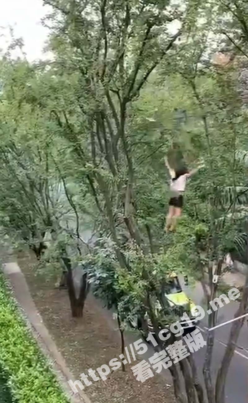 3标题-2.jpg