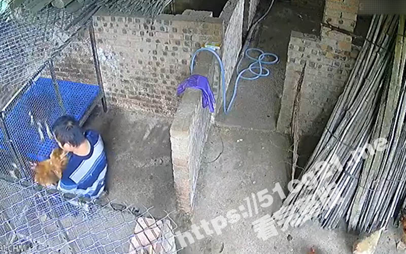 3标题-2.jpg