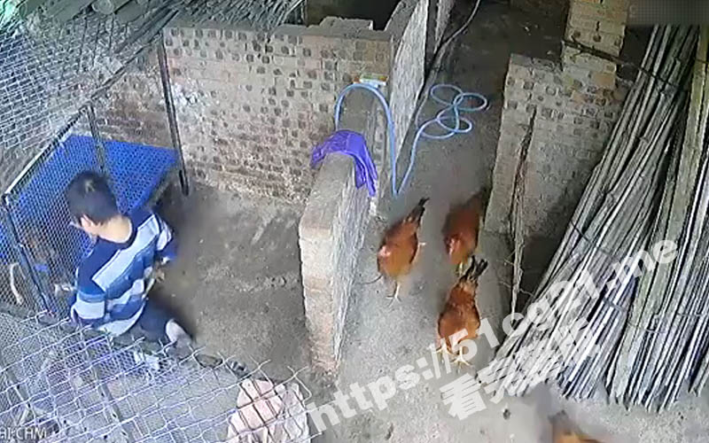 4标题-2.jpg