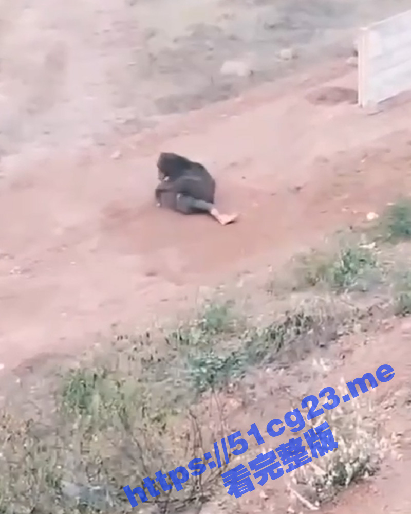 11标题-1.jpg