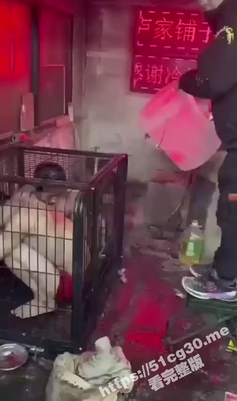 人为财死鸟为食亡！直播把人关到铁笼里泼上水再电击 疼痛喊叫声越大 大哥礼物刷的就越多