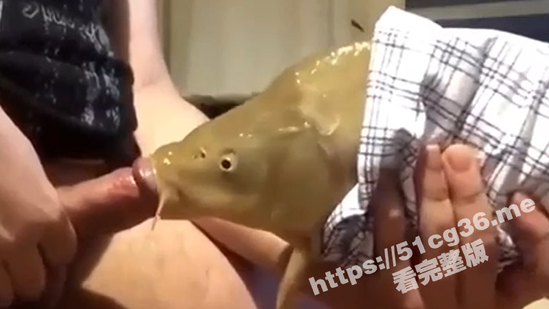 7标题-1 拷贝.jpg