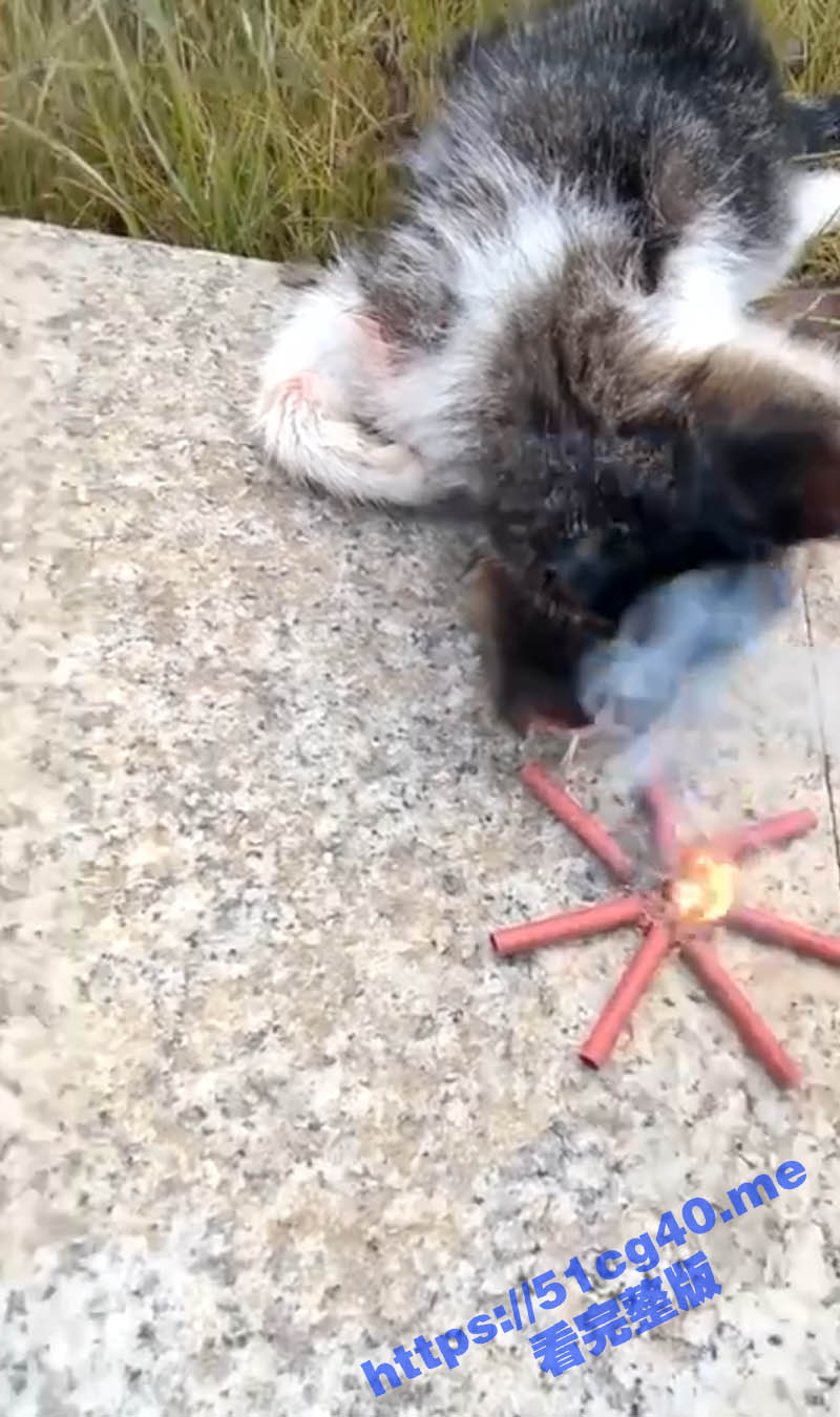 2标题-1 拷贝.jpg