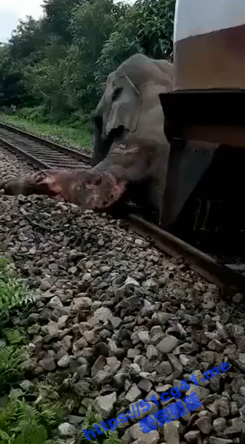 3标题-1 拷贝.jpg