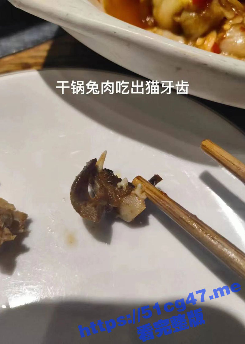 广西柳州 一女子在银泰城吃干锅兔肉疑似吃出猫牙！女子当即拨打12345投诉！