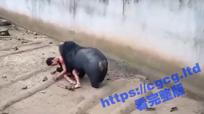 2标题-1 拷贝.jpg
