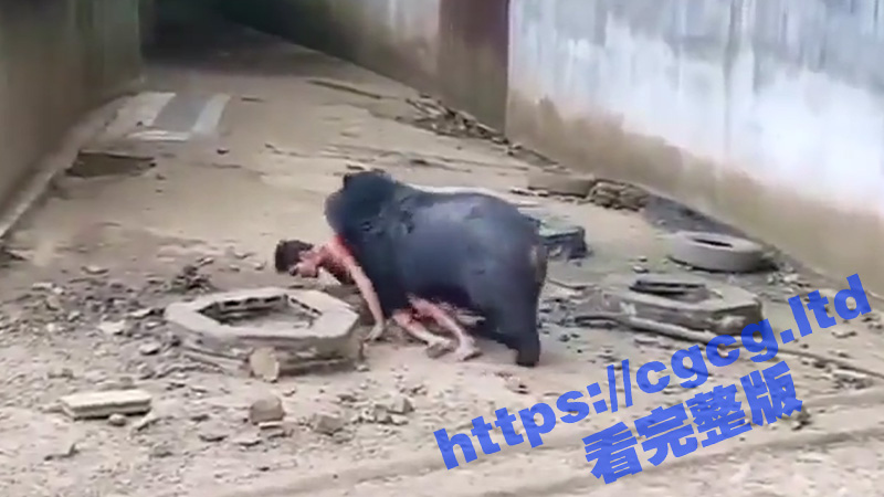 3标题-1 拷贝.jpg