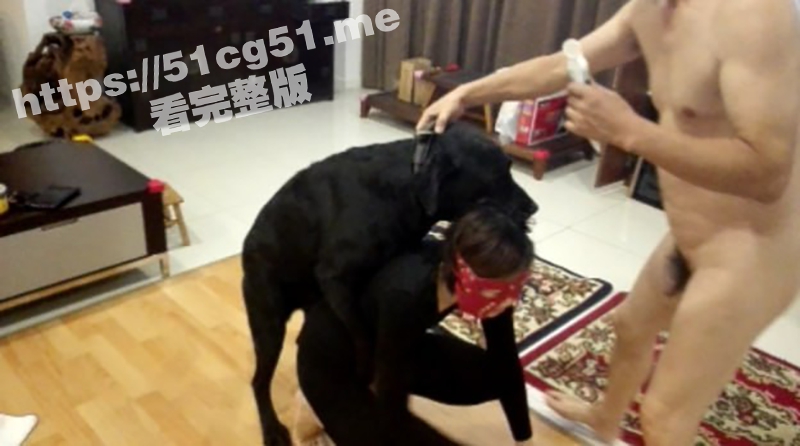 独家内部资源！青岛人狗门事件 让爱犬操自己的老婆 情妇旁边围观 场面震撼三观
