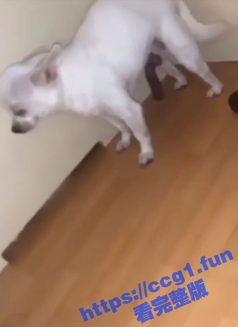 2标题-1 拷贝.jpg