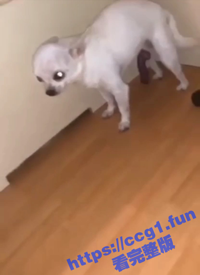 3标题-1 拷贝.jpg