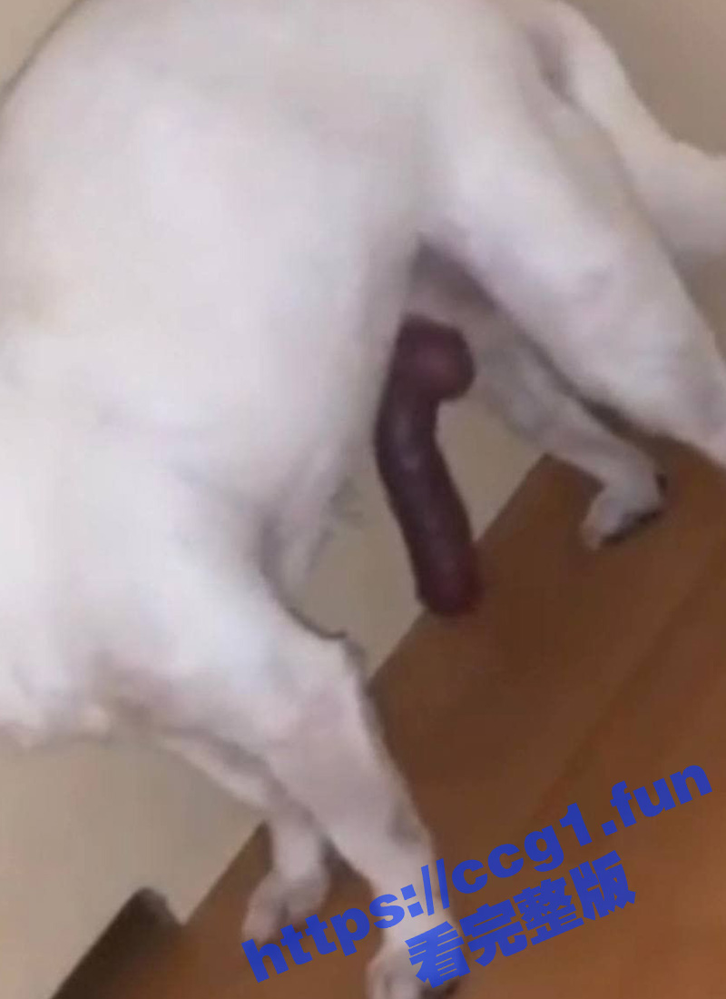 4标题-1 拷贝.jpg