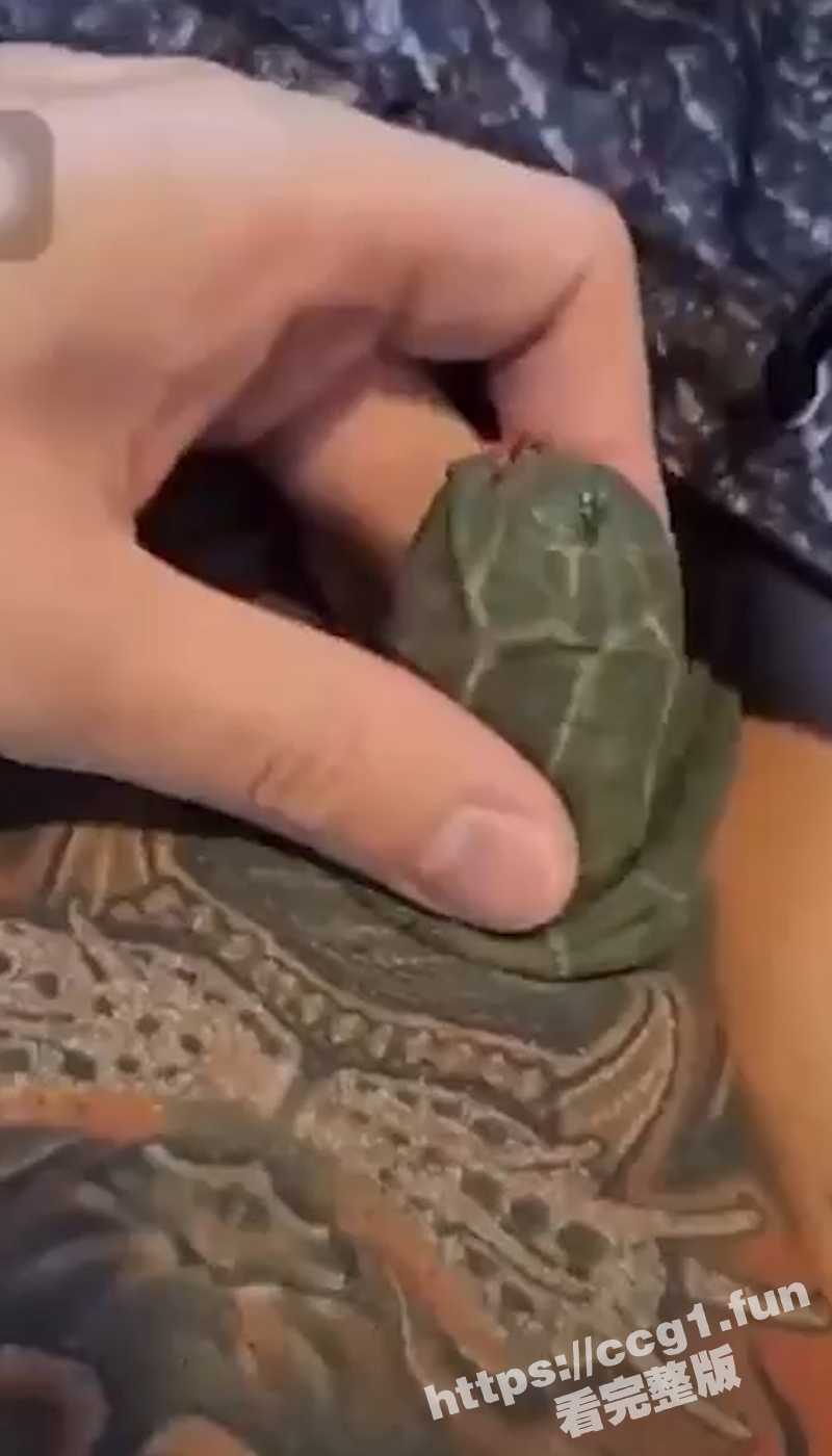 真正的龟头！第一次见纹身纹了整个屌 还为小屌做了一个龟头造型 甚至还有眼睛！