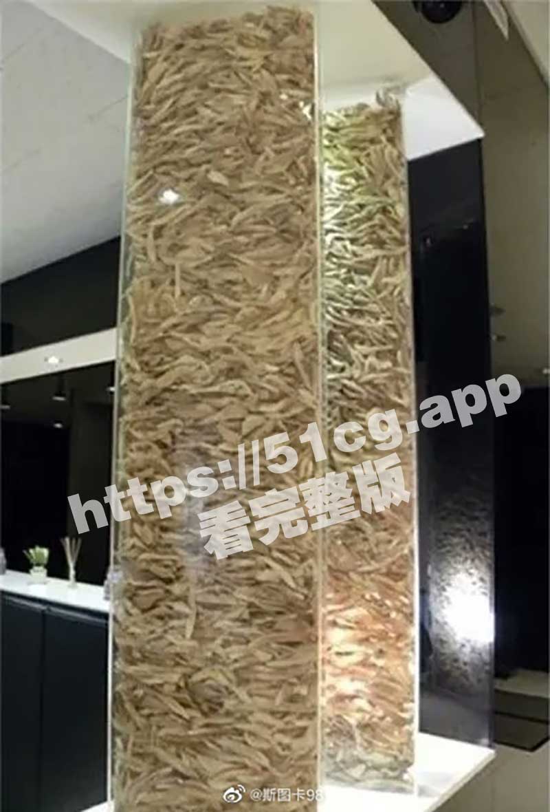 c37c67cbgy1hbrhcr45dyj20cj0ihwg3.jpg