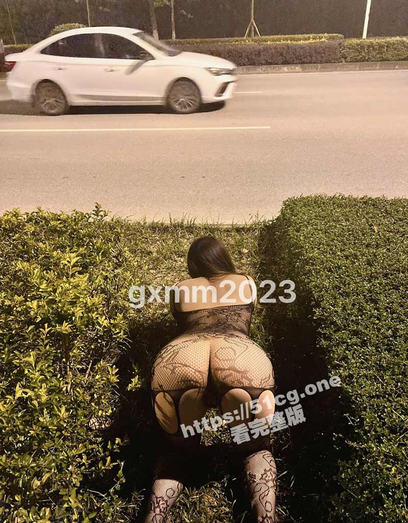 a11.jpg