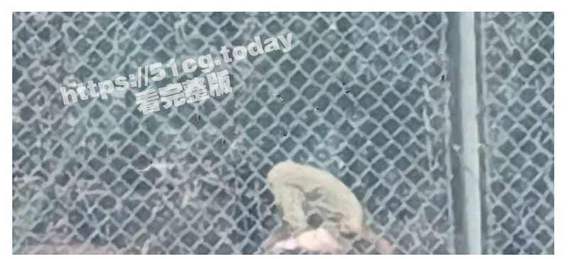 大学生情侣从天亮干到天黑！山东工程职业技术大学情侣操场上啪啪视频曝光全网疯传！