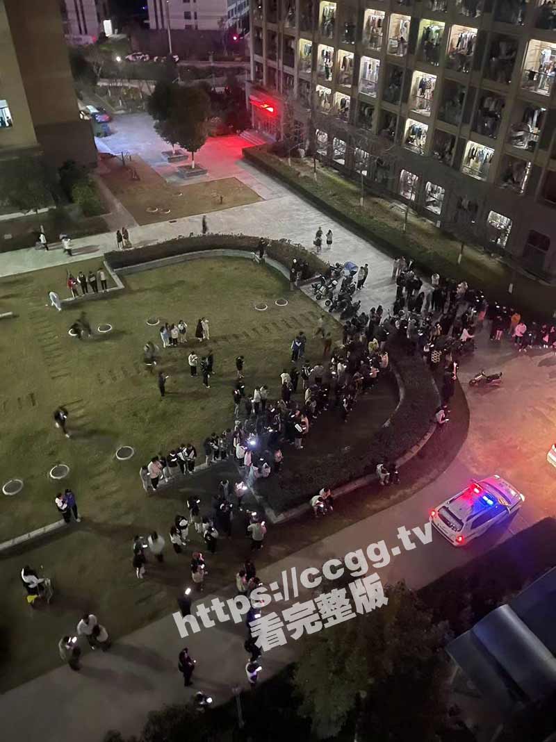 43.jpg