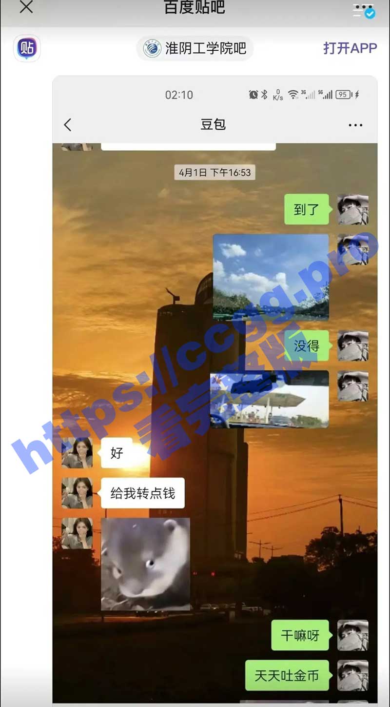 c2.jpg