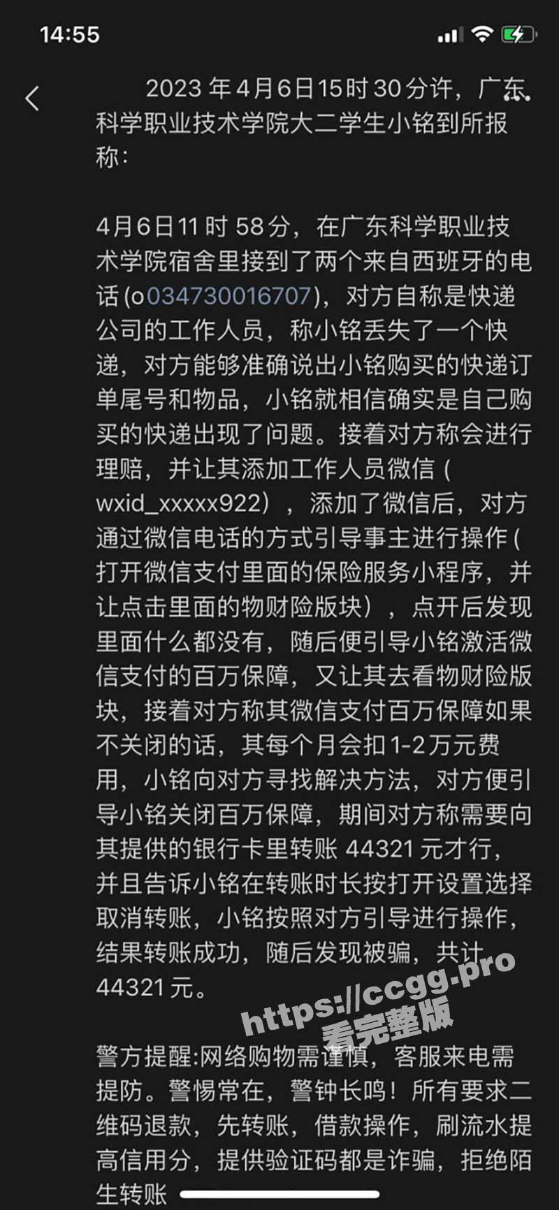 00.jpg
